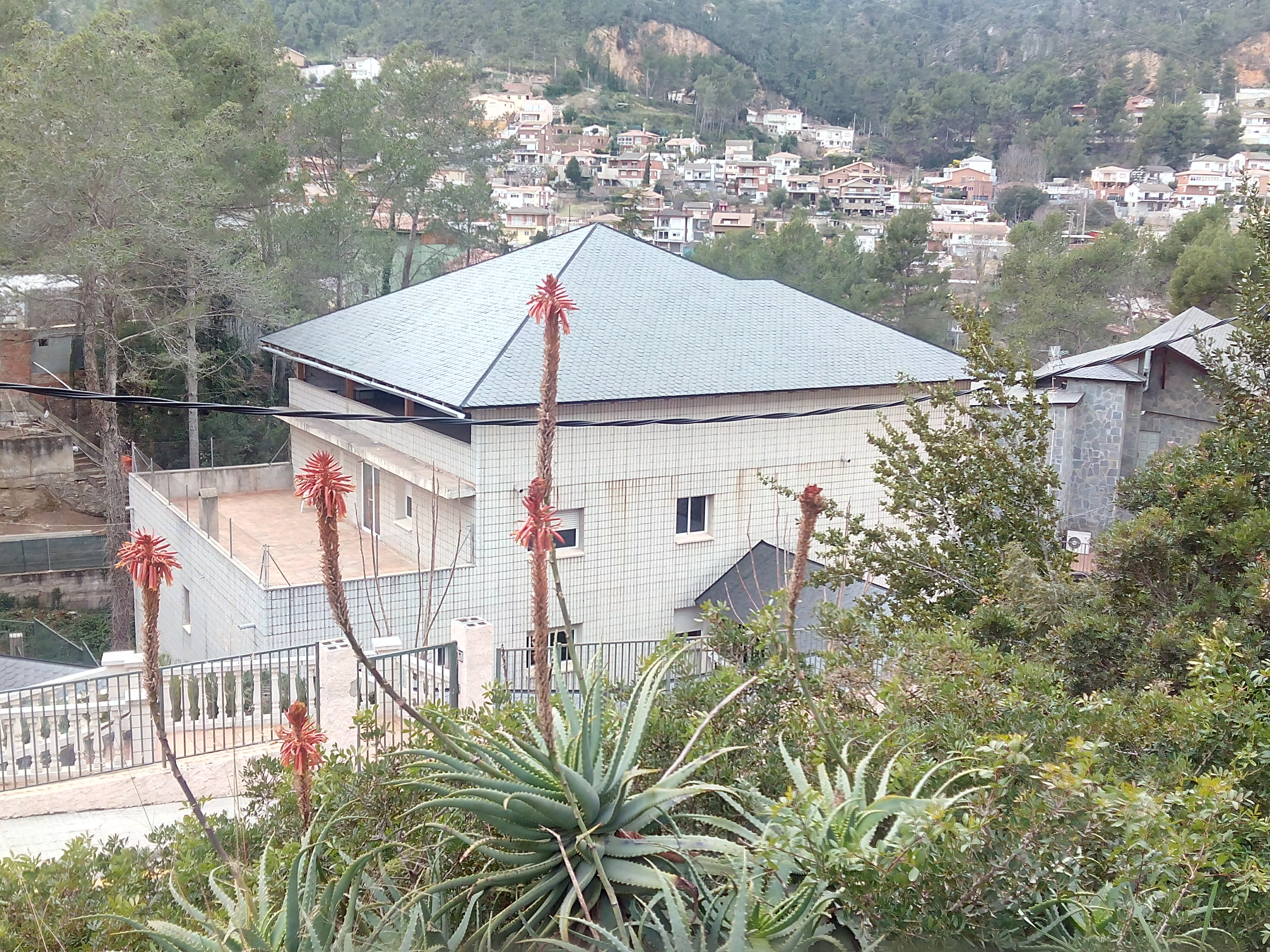 IMG_20150217_145421_1